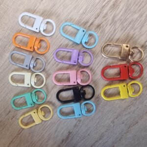 Bag clip for charms