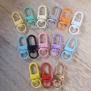 Bag clip for charms