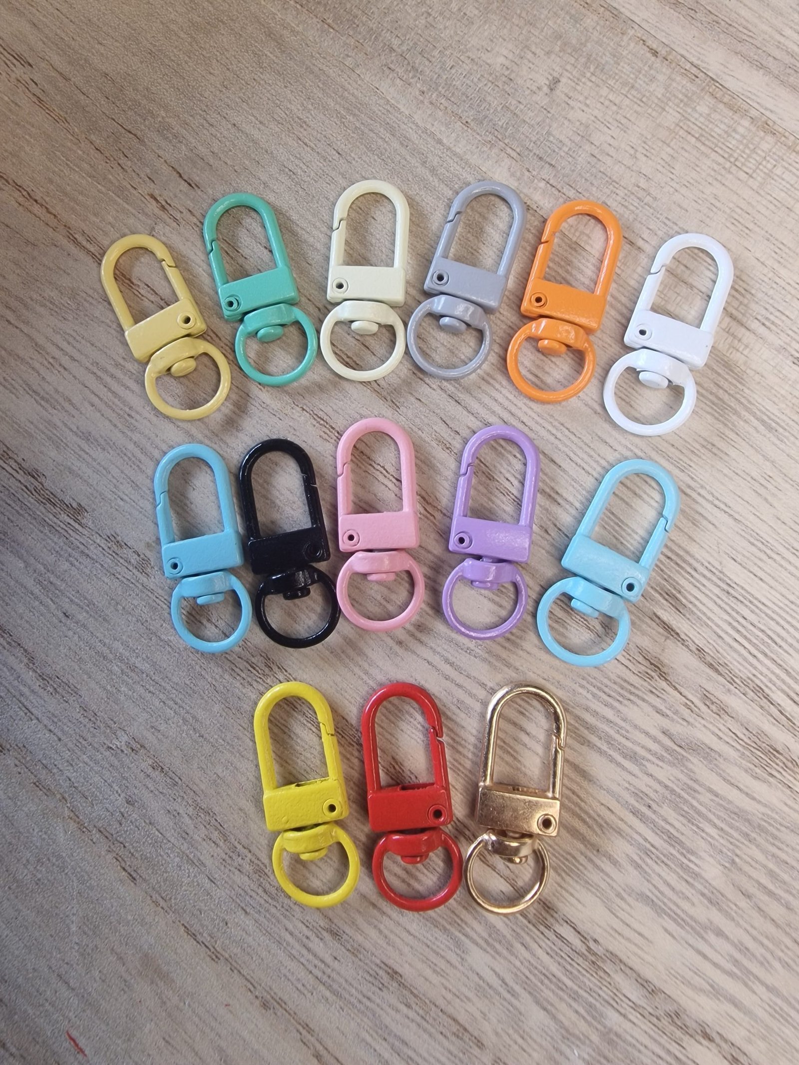 Bag clip for charms